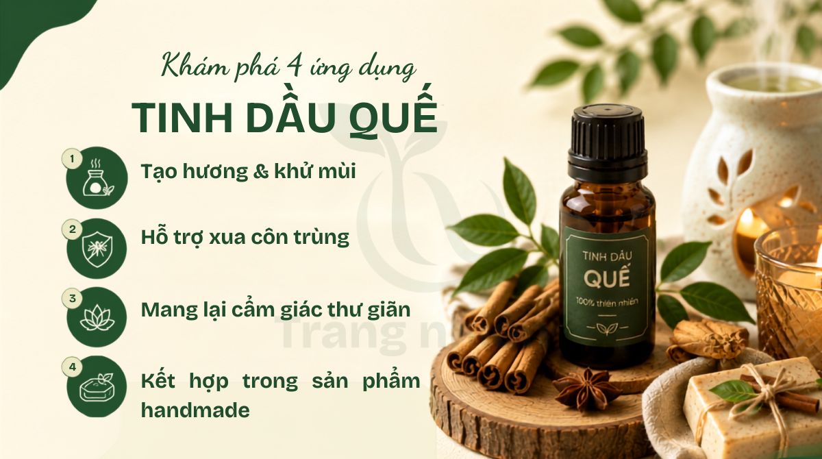 4 ứng dụng của tinh dầu quế
