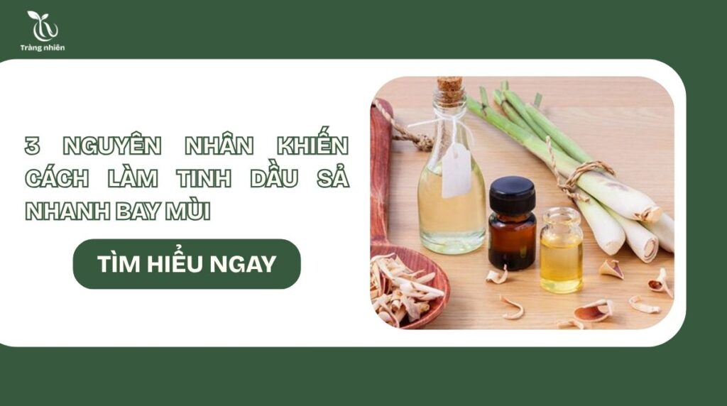 Cách làm tinh dầu sả