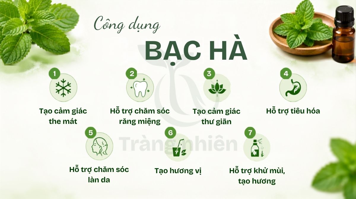 Công dụng của bạc hà là gì