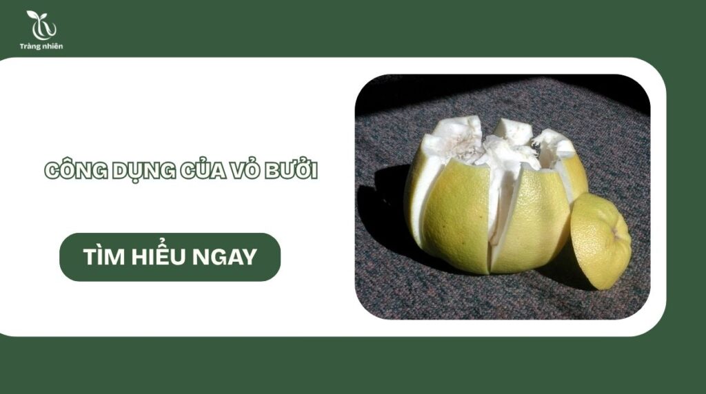 Công dụng vỏ bưởi