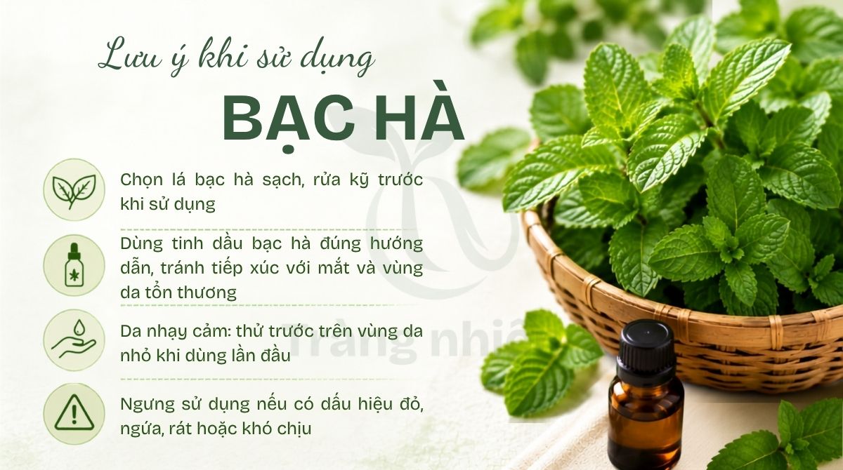 Lưu ý khi sử dụng bạc hà