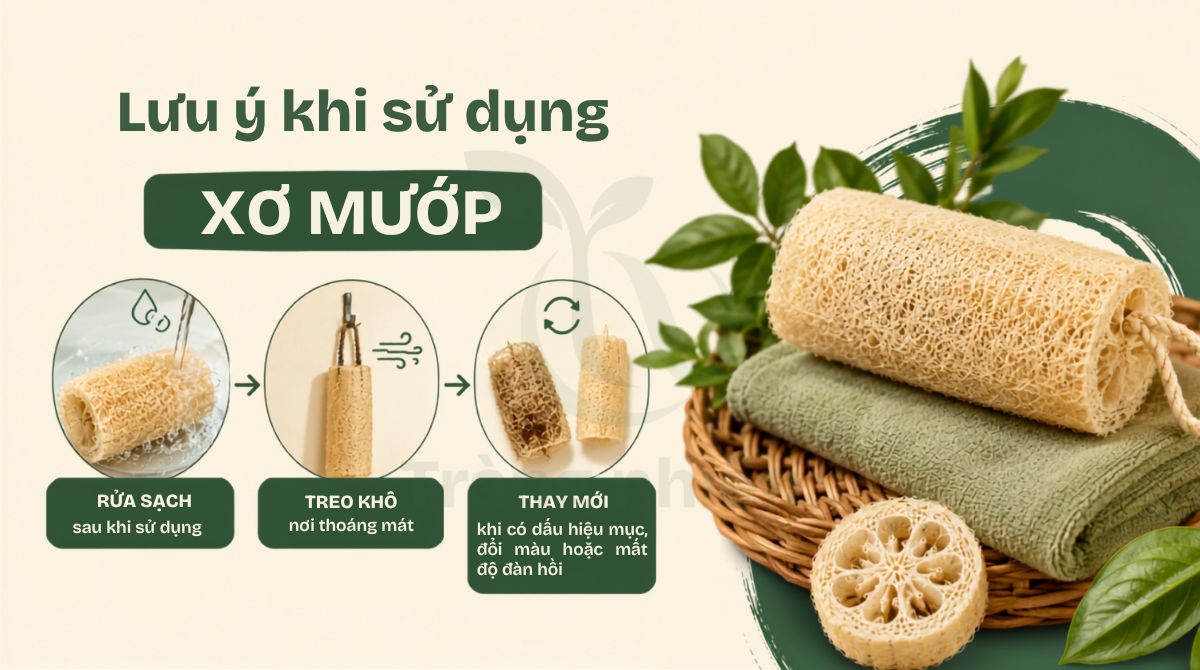 Lưu ý khi sử dụng xơ mướp
