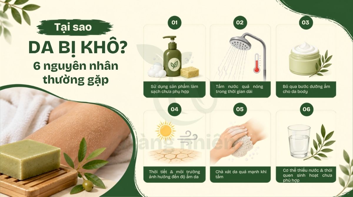 Nguyên nhân khiến da bị khô