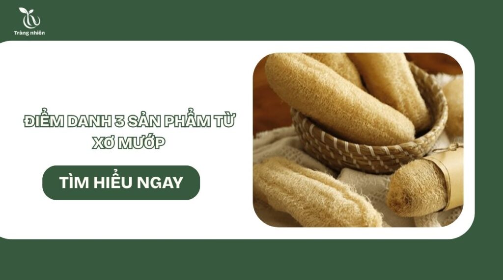 Sản phẩm từ xơ mướp
