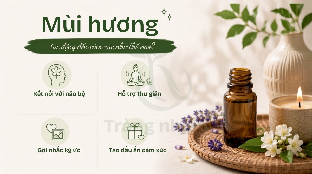Tác dụng của mùi hương