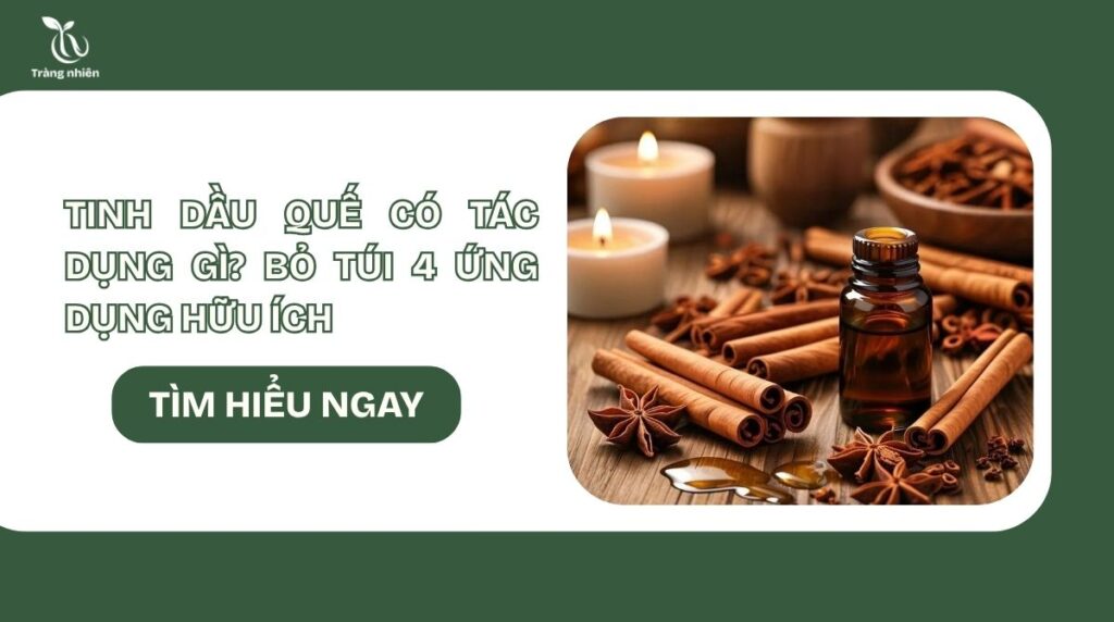 Tinh dầu quế có tác dụng gì