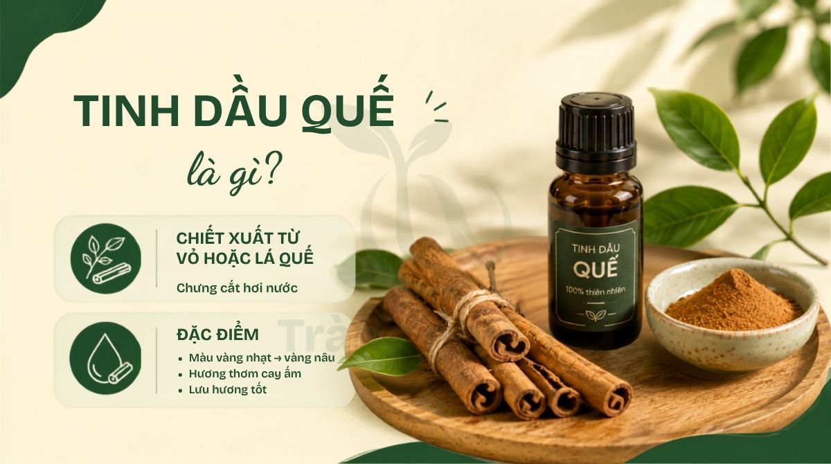 Tinh dầu quế là gì