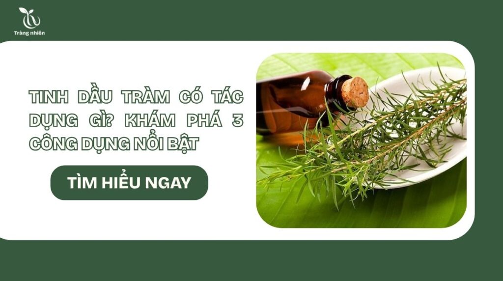 Tinh dầu tràm có tác dụng gì