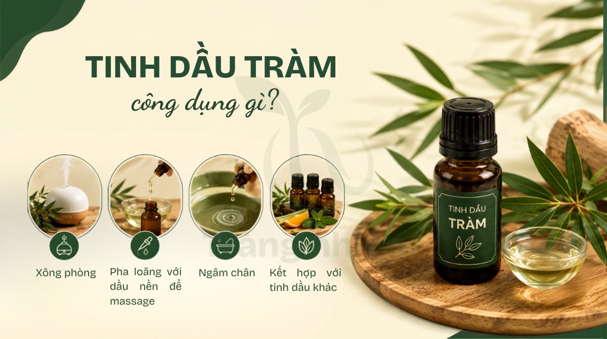 Tinh dầu tràm công dụng gì