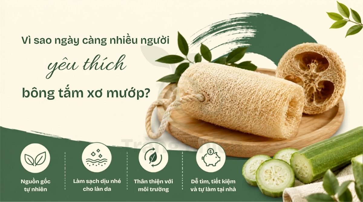 Vì sao nhiều người thích bông tắm xơ mướp