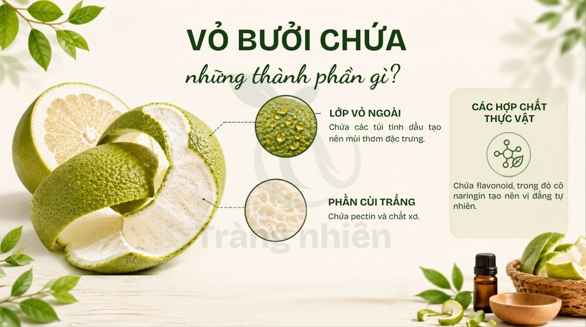 Vỏ bưởi chứa thành phần gì