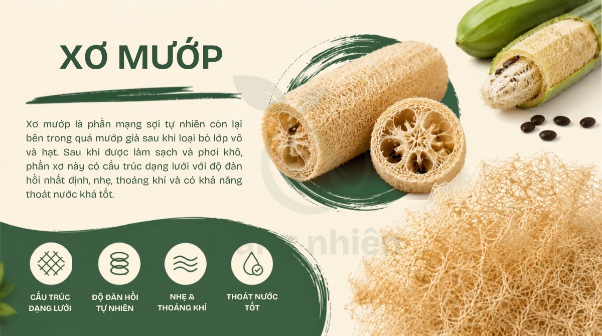 Xơ mướp là gì